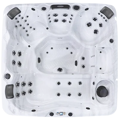 Avalon EC-867L hot tubs for sale in Wilmington