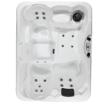 Kona PZ-519L hot tubs for sale in Wilmington